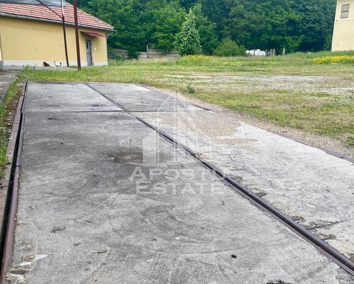 Spatii productie si depozitare, zona Sebis - Prunisor-Carand