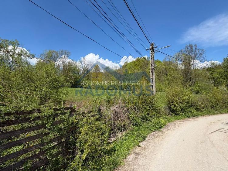 Teren Intravilan  – Provița de Jos | 1.939 mp | Curent electric - 2