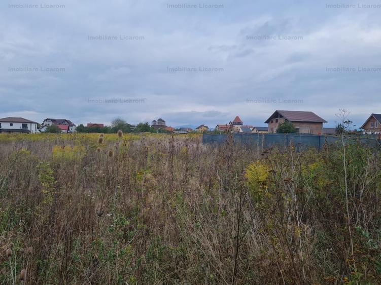 De vanzare teren 502 mp Harman Aleea 14 pret 40000 euro