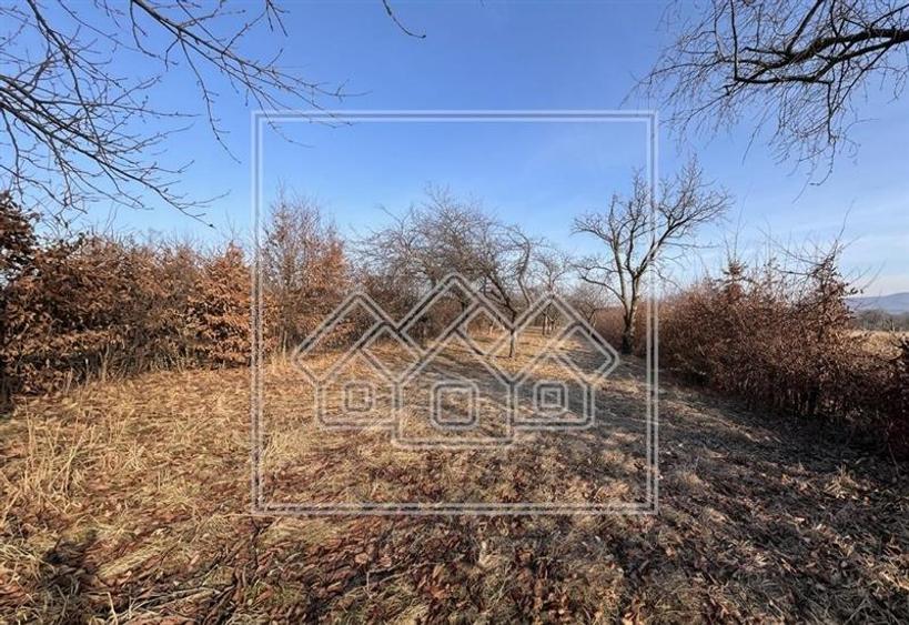 Teren de vanzare Rasinari - Zona Tropinii Vechi - 3204 mp