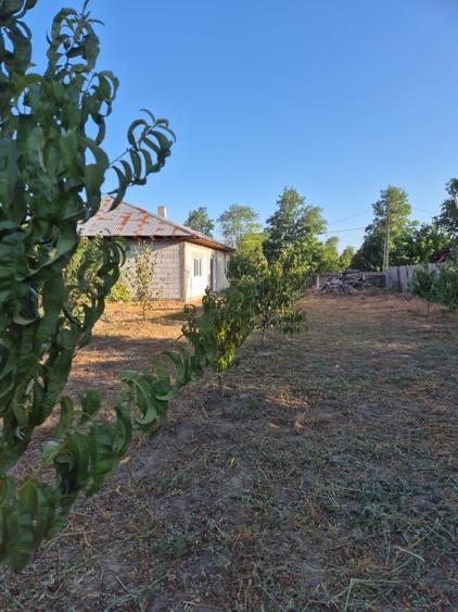Casă de vânzare în comuna Făcăeni, județul Ialomița – teren 2600 mp, casă nouă,