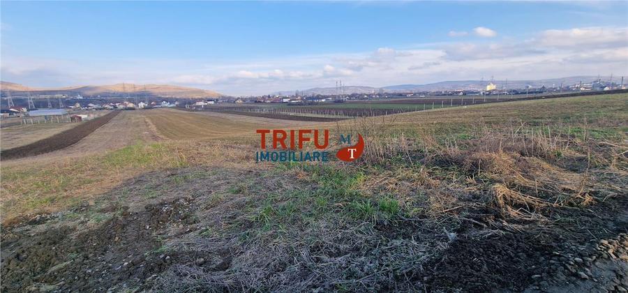Teren de vanzare Zona Barabant!