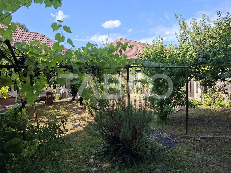 Casa cu 2 camere decomandate 335 mp teren in zona Parcul Tineretului - 6