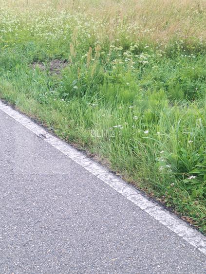 Teren de vanzare, 5800 mp, zona Jena - 7