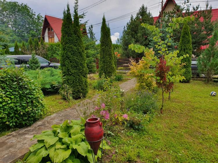 Vila de vanzare Valea Doftanei- Brebu - Campina