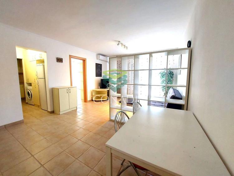 Sala Palatului, apartament cu 2 camere de inchiriat,  45 mp utili - 2