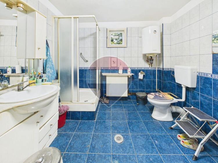 Casă P+1 cu teren 2.800 mp în Butimanu