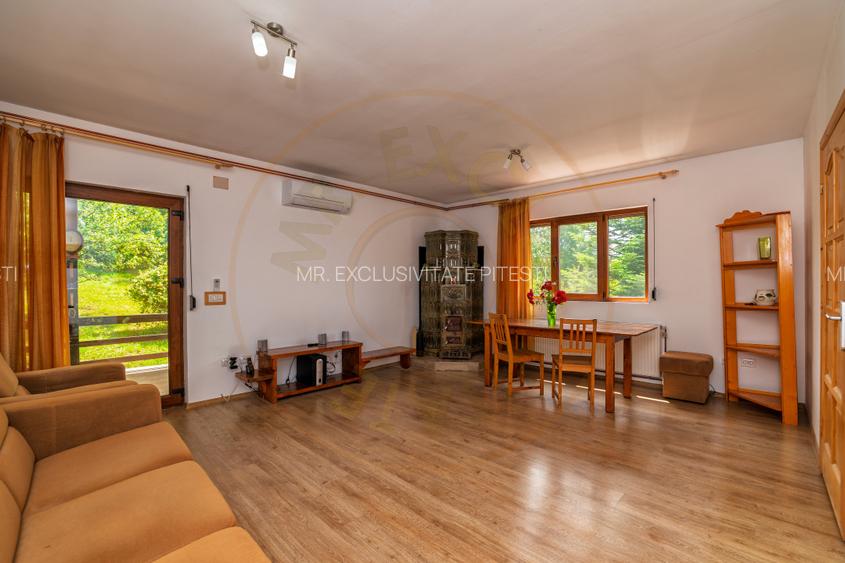 Casa moderna si casa bunicii + 6300 mp teren,Oaza autentica in Corbi Arges- - 6