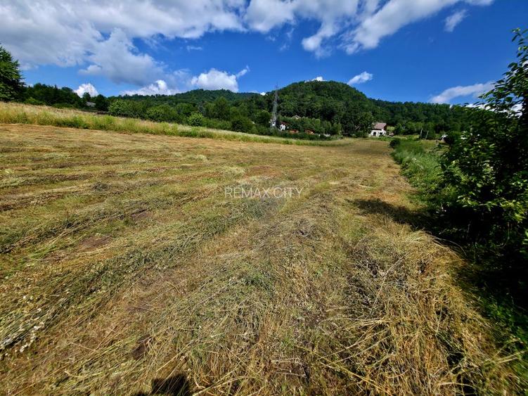 Teren 600mp Viisoara / Strada Primaverii - 3