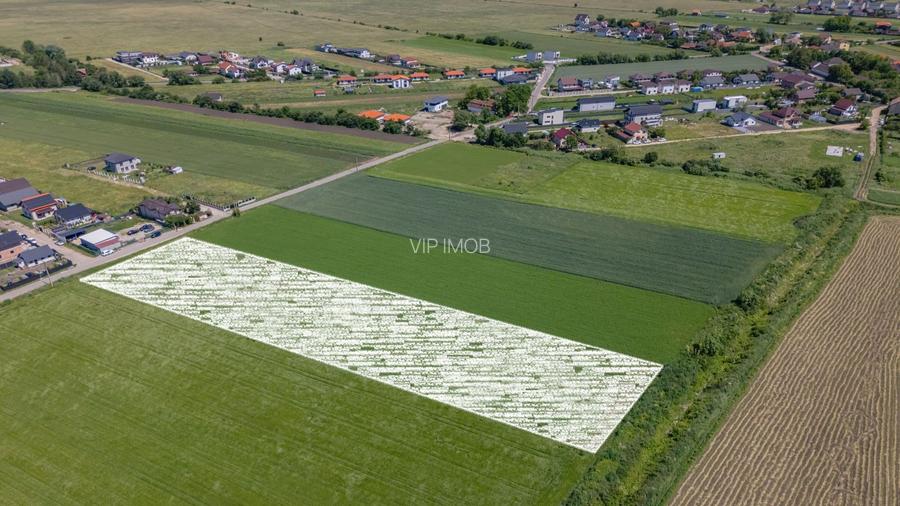 Teren 9.300 mp Stupini | Front 45.59 m la Asfalt | PUG Zonă L1c - 4