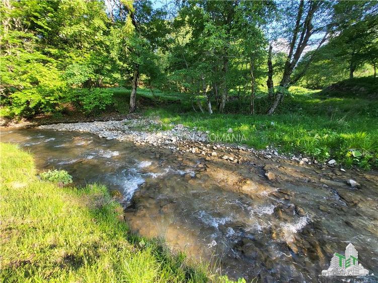 Teren Intravilan 12000 mp, Cascada Urlatoarea- Vama Buzaului, proiect aprobat pe - 10