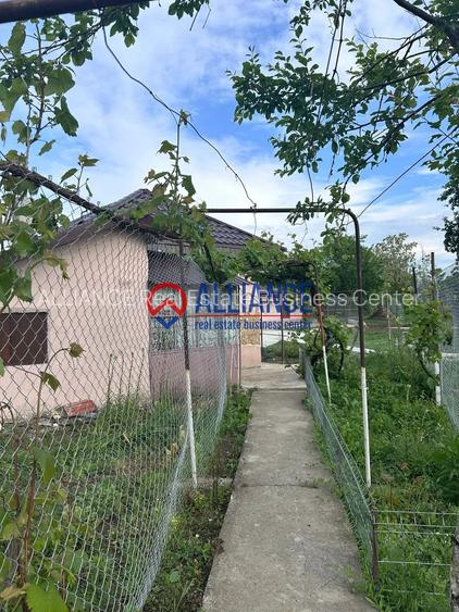 SAT CERCHEZU Casa 4 camere cu gradina! - 4