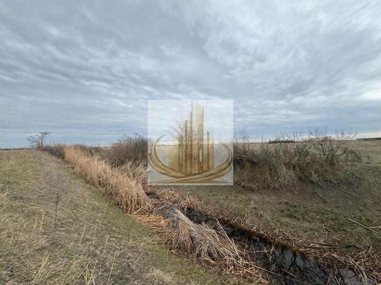 Teren 5.000 mp centura Calea Sagului- Freidorf.