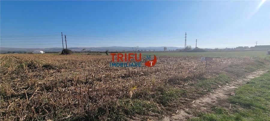 Teren intravilan de vanzare 2900 mp pe Soseaua de Centura