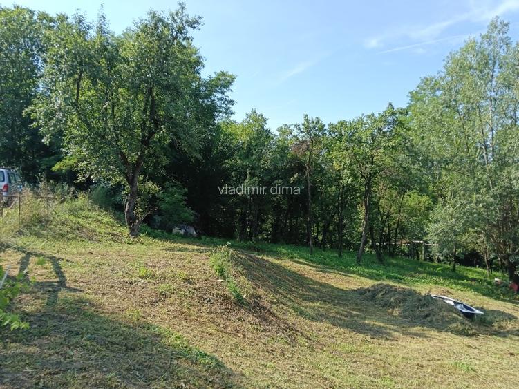 Casa noua cu teren de 3278mp Glodeni Vale-Pucioasa - 16