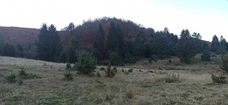 Teren 1810 mp – Zona Brebina, Zărnești .