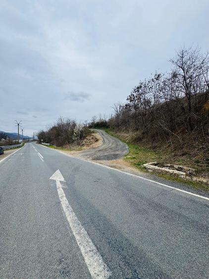 Teren Construcții intravilan de 6042 mp, în Berzasca