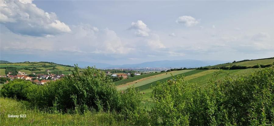Teren 5000mp cu livada in Sura Mare - panorama deosebita