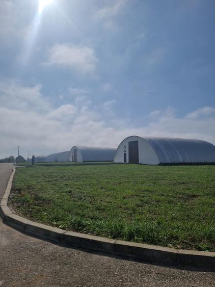 Industrial PARK for Sale – 4 Warehouses with Land, Near Bucharest (INTRAVILAN)