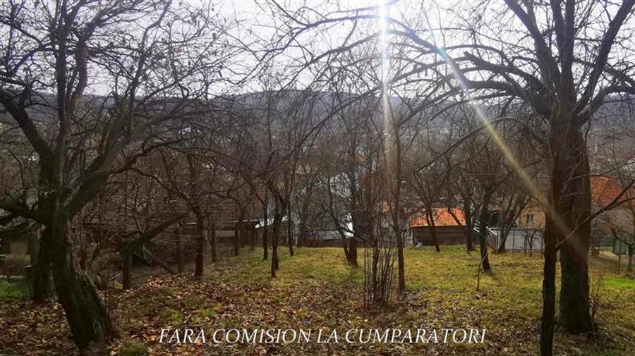 STIRBEI - VODA, CASA CU TEREN 2000 MP