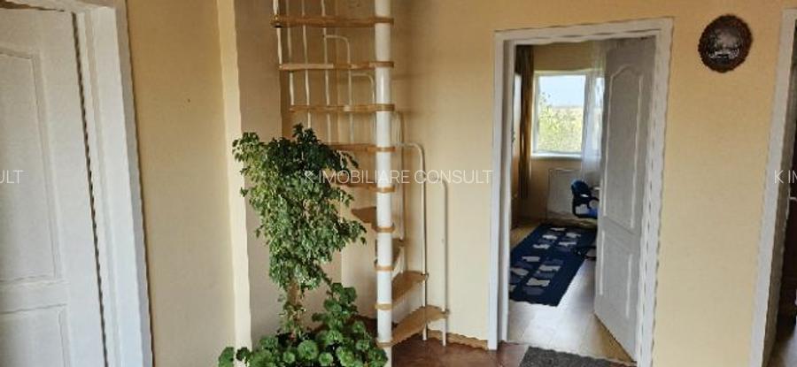 Ciopani vila 5 camere teren 4000 mp - 15
