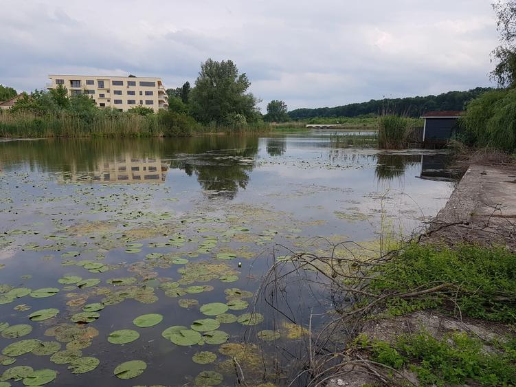 VANZARE TEREN INTRAVILAN