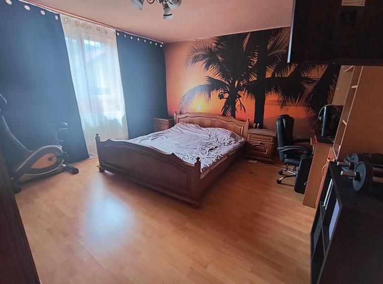 Camil Ressu- Ramnicu Sarat-adiacent- Fizicienilor curte+piscina