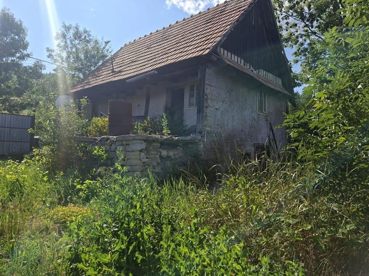 Teren de vânzare in Feleacu