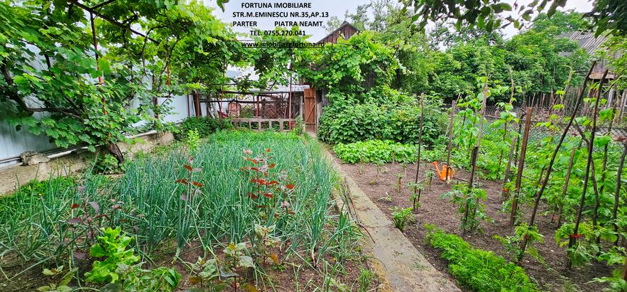 Proprietate in intravilanul mun.Piatra Neamt, zona Cindia