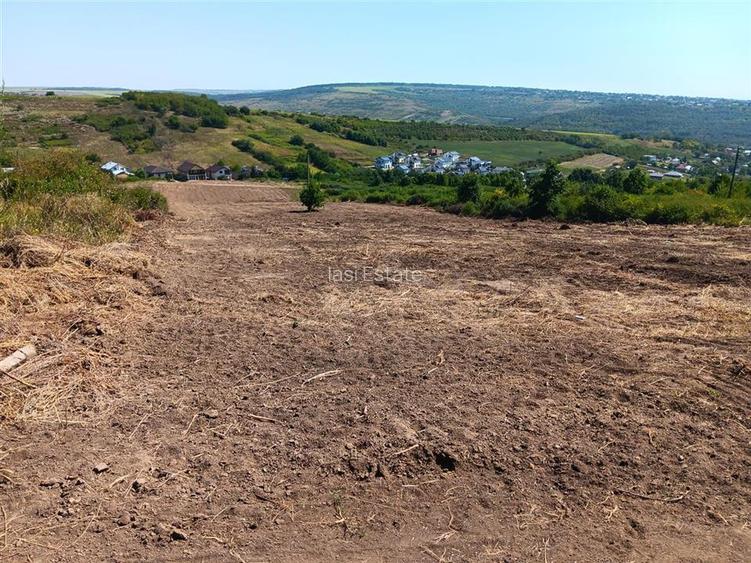 Ocazie! Sorogari TEREN 10000mp intravilan PUZ realizat si  toate utilitatile - 9