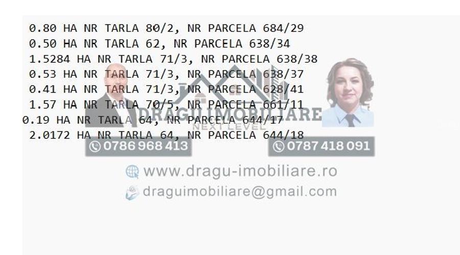 Teren agricol Munteni/Galati / 7.5 ha - 3