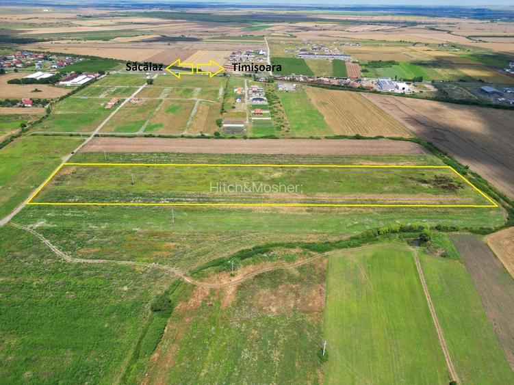Teren Sacalaz 3,6 Ha - Pretabil PUZ Locuinte - 8