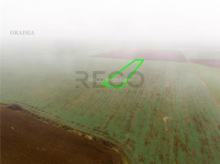 RECO Teren extravilan 5800 mp Livada de Bihor - 5
