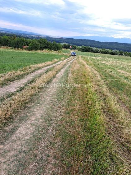 Oportunitate-Teren Extravilan 6200 mp cu vedere Panoramica-Tropinii Noi-Rasinari - 8