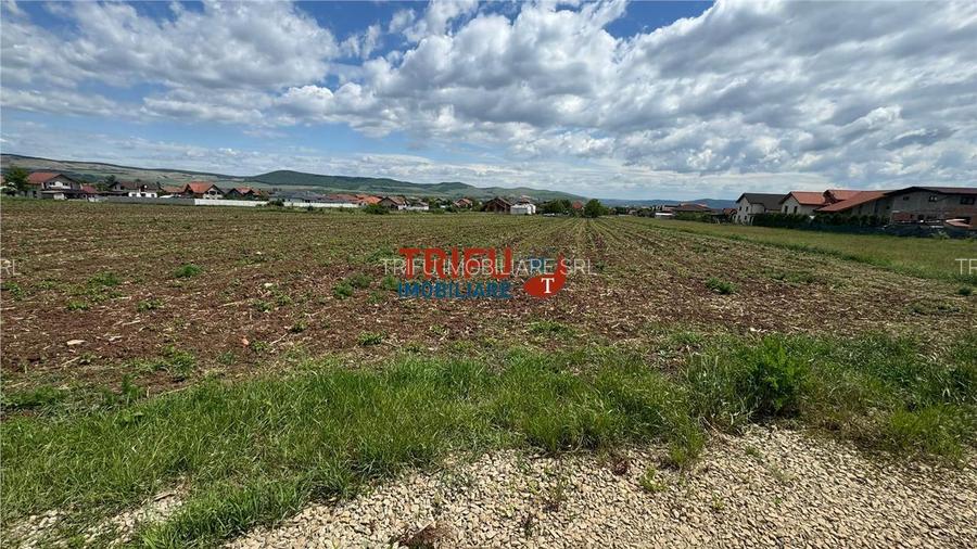 Teren Intravilan construibil de 2740 mp în Micești, Alba Iulia - 2