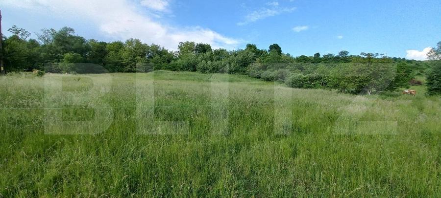Teren intravilan, 9100 mp, zona Crainimat