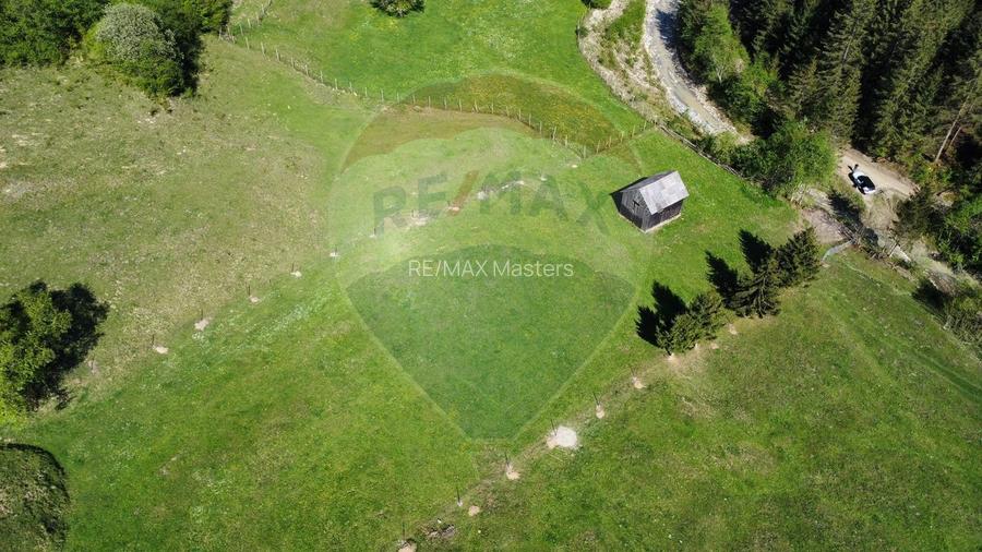 Teren 12,127mp Frasin / Drumul Forestier Valea Seacă - 8