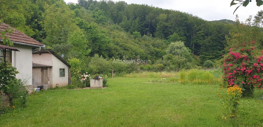 Vand  casa cu gradina - 4