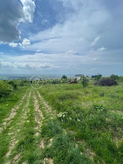 TEREN extravilan 952mp, Bucium, acces auto