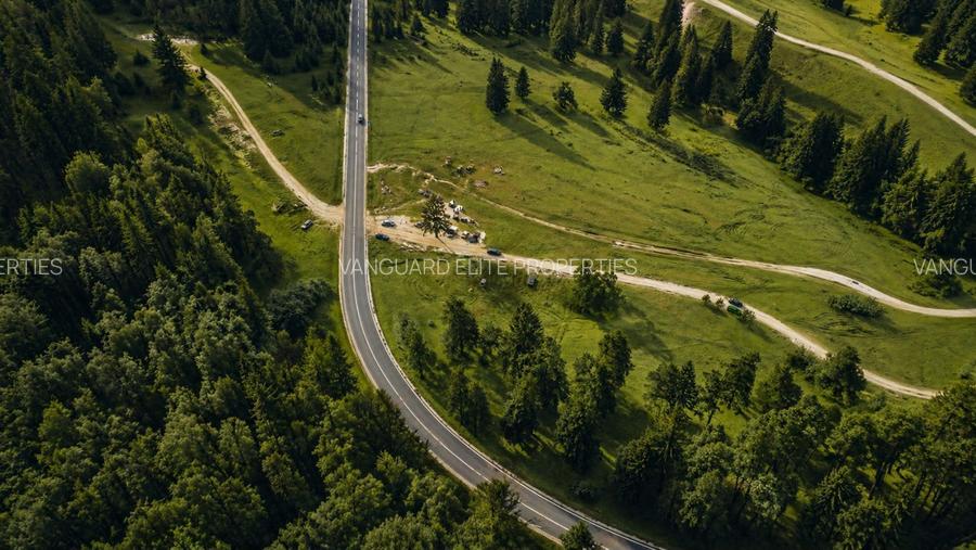 TEREN INTRAVILAN 10.440 MP ÎN POIANA BRAȘOV – OPORTUNITATE INVESTITIE - 3