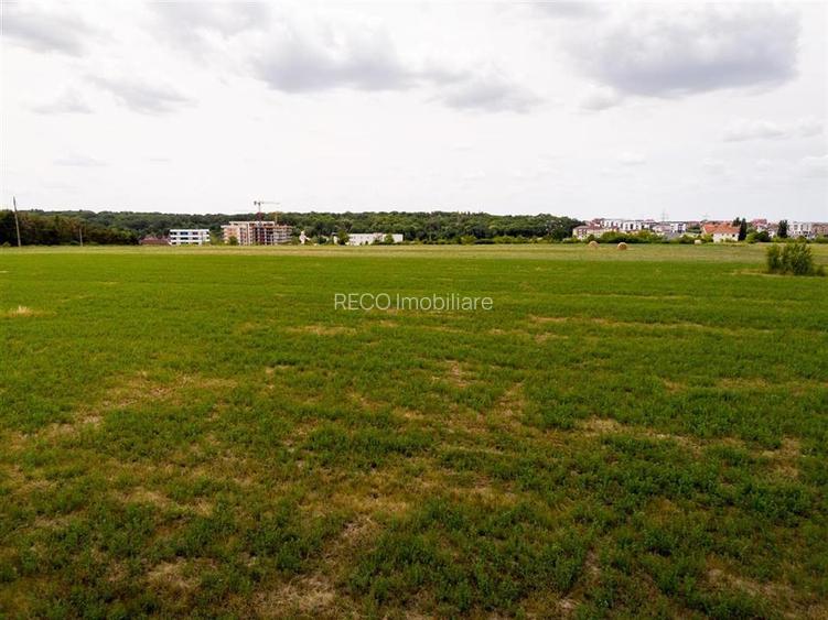 RECO Teren intravilan Haieu 4408mp - 7
