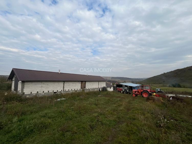Oferta de vanzare ferma: hala de 500 mp.+teren 6500 mp, Frata, 65000 EURO - 1