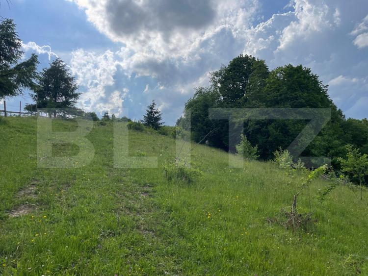 Teren extravilan de vanzare, 2 ha - Campulung Moldovenesc, zona Sandru