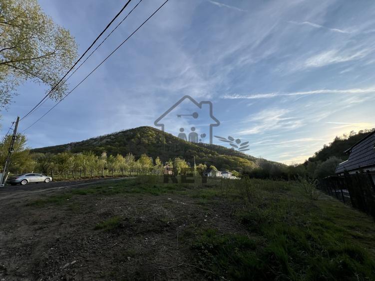Teren la poalele Cetății Cisnadioarei de vânzare/1250 mp