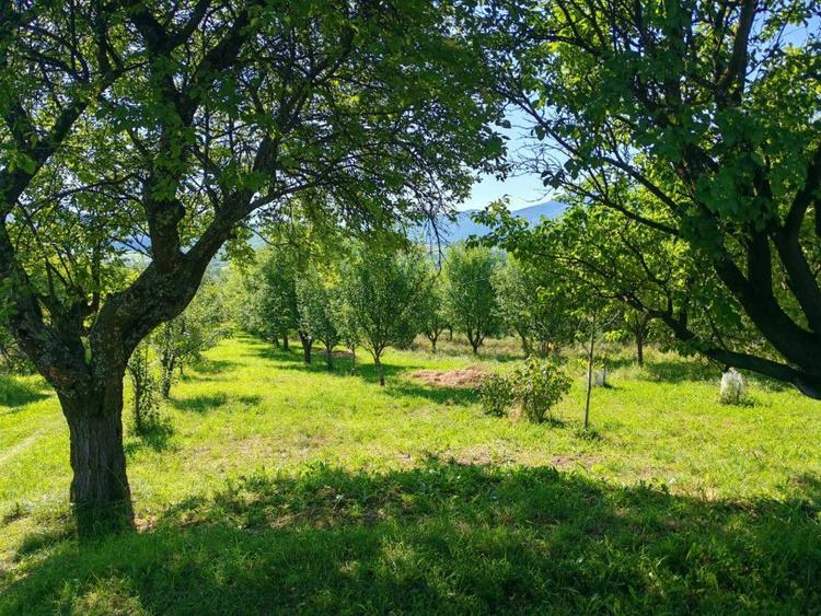 Terenul pe care se clădește visul tău – Tocile, Sibiu