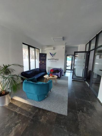 Casa individuala, ideal sediu firma in Andei Muresanu