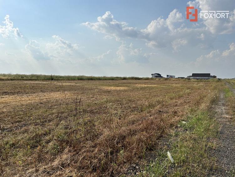 Parcele teren de vanzare in Sanandrei - ID V5451