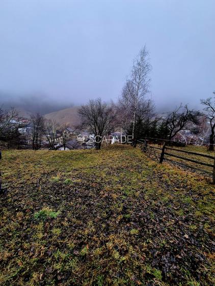 Teren intravilan Simon/Bran, 4318 mp , casuta intabulata, utilitati - 8