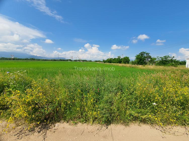 Teren Brasov – Sanpetru Livada zona de case - 2