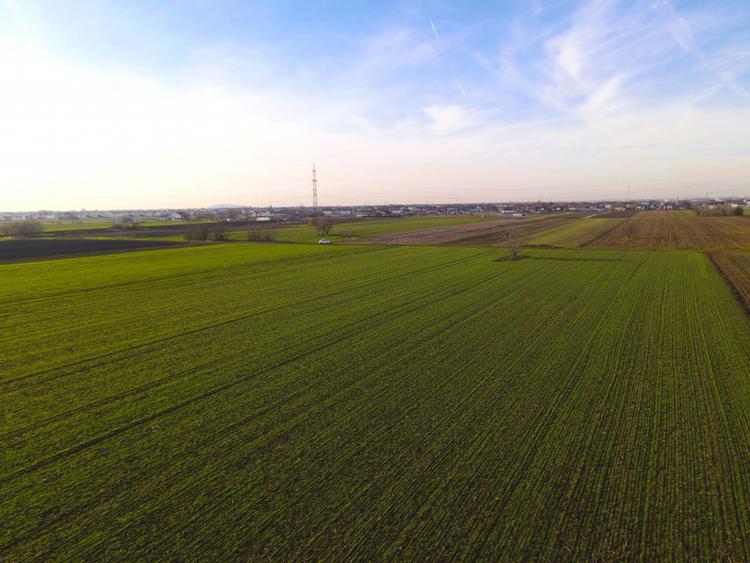 Teren Investitional 1,24 ha Com Berceni | deschidere 42ml | #CG28
